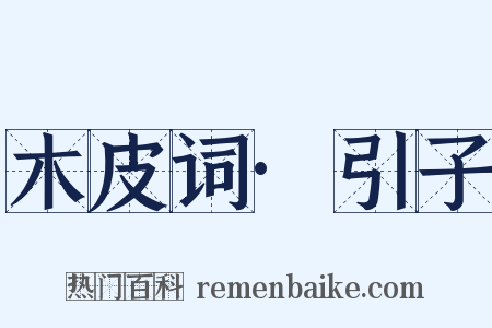 木皮词·引子是什么意思的图片